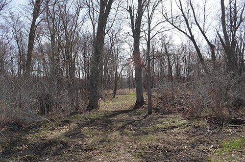 Property photo 149 - REAL ESTATE & PERSONAL PROPERTY AUCTION, 140 Acres offered in 8 Tracts or Combinations in Steuben County